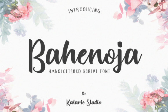 Bahenoja: A Font That Breathes Life Into Your Creations