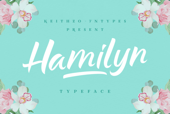 Hamilyn: The Font That Elevates Your Digital Campaigns