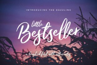 Little Bestseller: A Script Font for Editorial Excellence