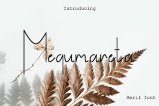 Megumareta: A Serif Font with Modern Grace