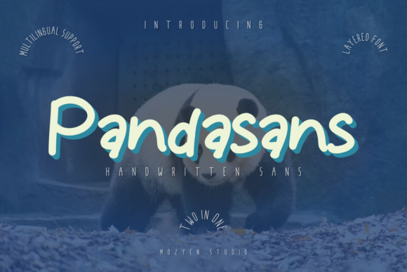 Pandasans: A Font That Elevates Branding with Personality