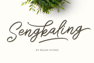 Sengkaling Script for Web Designers